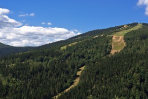 Špindlerův Mlýn je velkým lákadlem i pro vyznavače mountbikových sjezdů